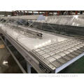 Lamp selecting conveyor belt for dates